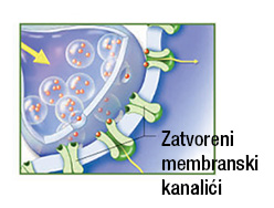 Kako razumjeti depresiju