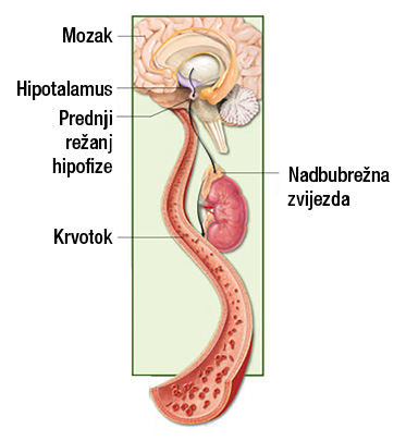 Kako razumjeti depresiju